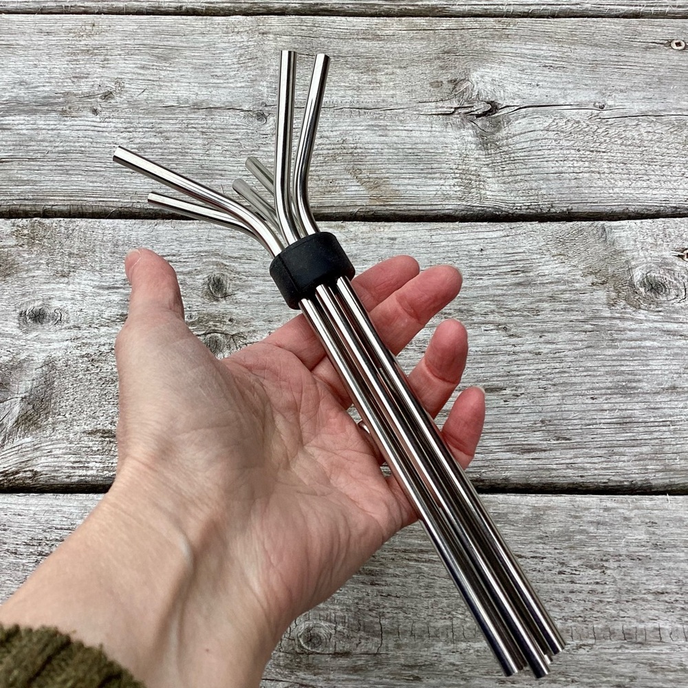 JOIE 6 Reusable Metal Straws with Holder
